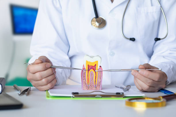 Best Emergency Treatment for Dental Infections or Abscesses in Star Valley Ranch, WY